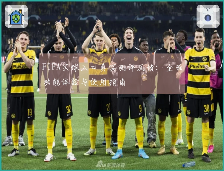 FIFA买球入口真实测评反馈：全面功能体验与使用指南
