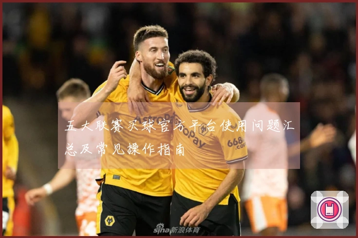 五大联赛买球官方平台使用问题汇总及常见操作指南