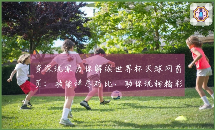 资深玩家为你解读世界杯买球网首页：功能详尽对比，助你玩转精彩赛事