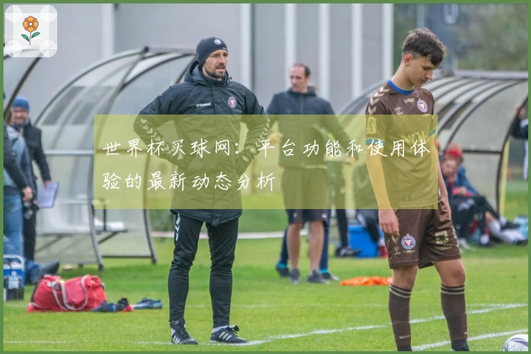 世界杯买球网：平台功能和使用体验的最新动态分析