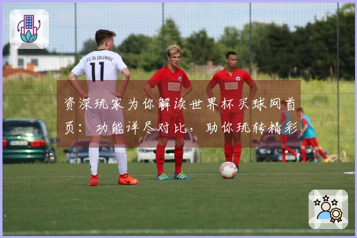 资深玩家为你解读世界杯买球网首页：功能详尽对比，助你玩转精彩赛事