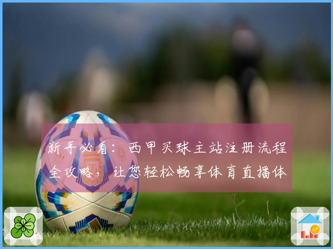 新手必看：西甲买球主站注册流程全攻略，让您轻松畅享体育直播体验