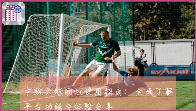 中欧买球网址使用指南:全面了解平台功能与体验分享