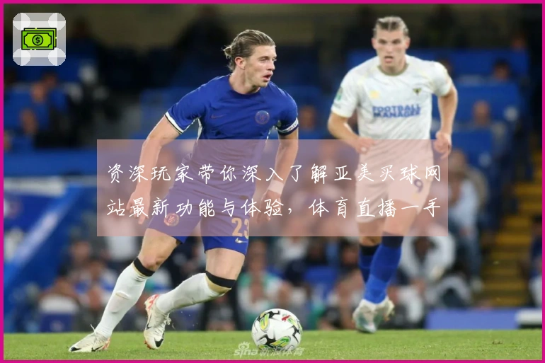 资深玩家带你深入了解亚美买球网站最新功能与体验，体育直播一手掌握
