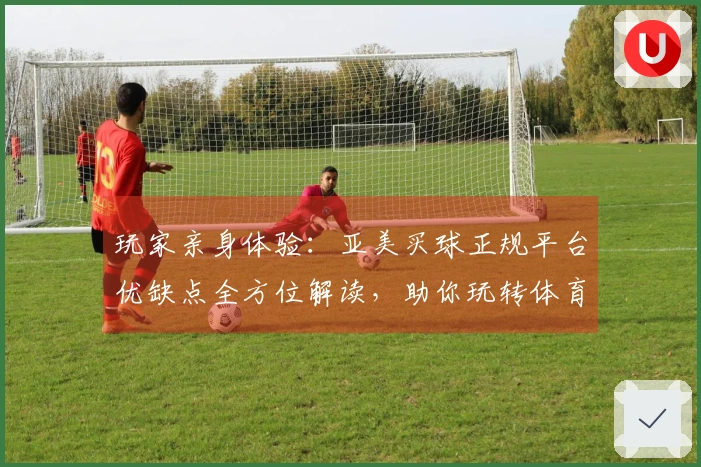 玩家亲身体验:亚美买球正规平台优缺点全方位解读,助你玩转体育直播