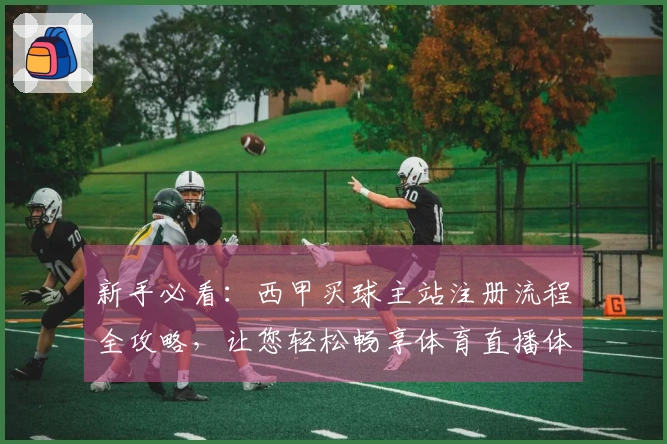 新手必看：西甲买球主站注册流程全攻略，让您轻松畅享体育直播体验